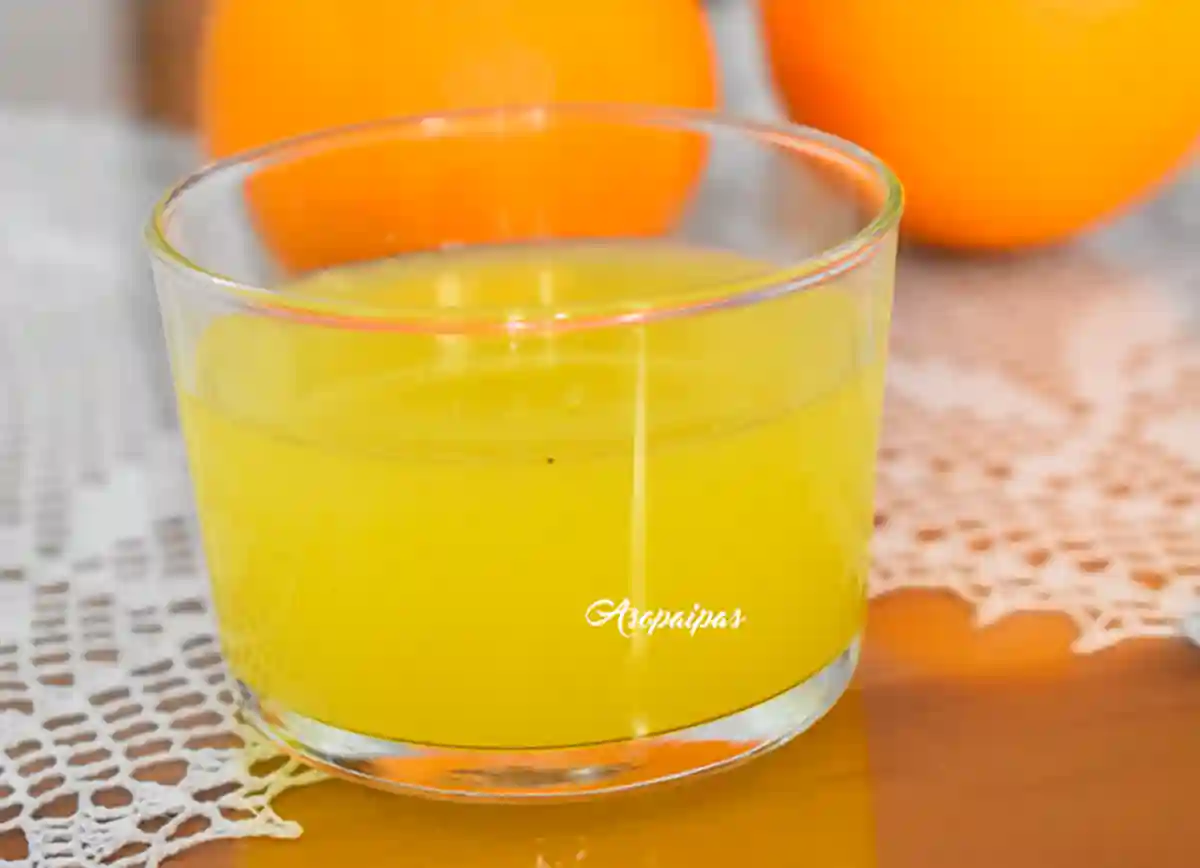 Imagen de la Naranjada Casera con la Thermomix