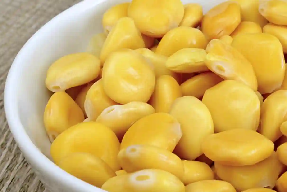 Altramuces