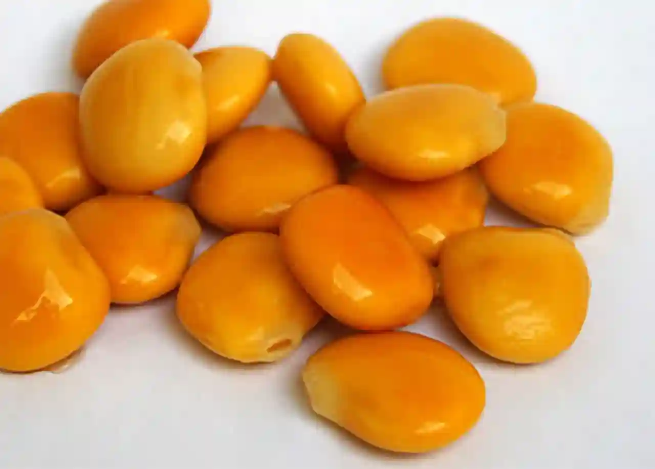 Altramuces
